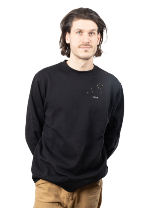 Pull brodé unisexe signe lion