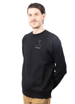 Pull brodé unisexe signe poisson