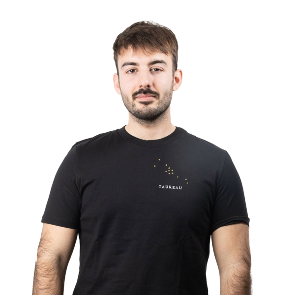 T-shirt brodé unisexe signe taureau