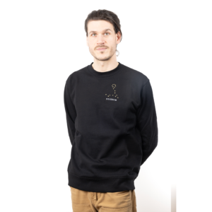 Pull brodé unisexe signe poisson