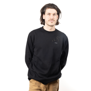 Pull brodé unisexe signe lion