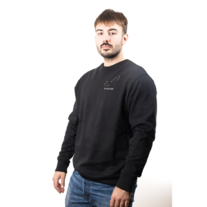 Pull brodé unisexe signe scorpion