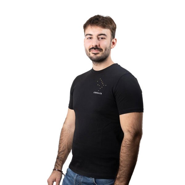 T-shirt brodé unisexe signe gémeaux