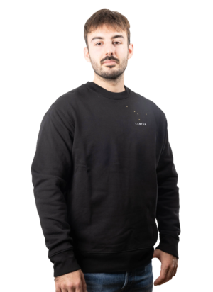 Pull brodé unisexe signe cancer