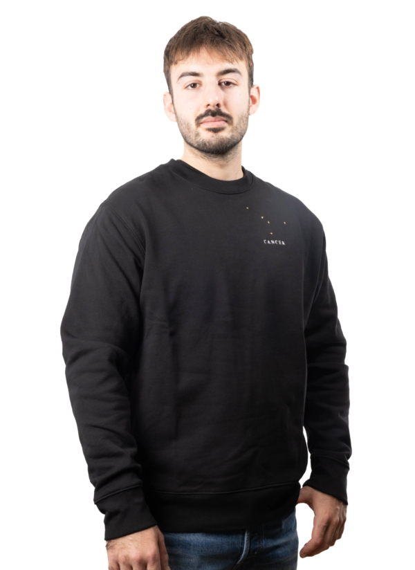 Pull brodé unisexe signe cancer
