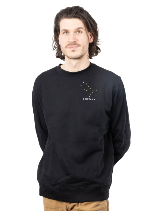 Pull brodé unisexe signe gémeaux