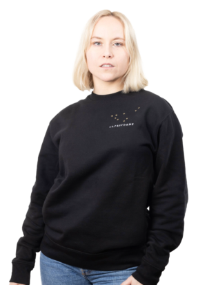 Pull brodé unisexe signe capricorne