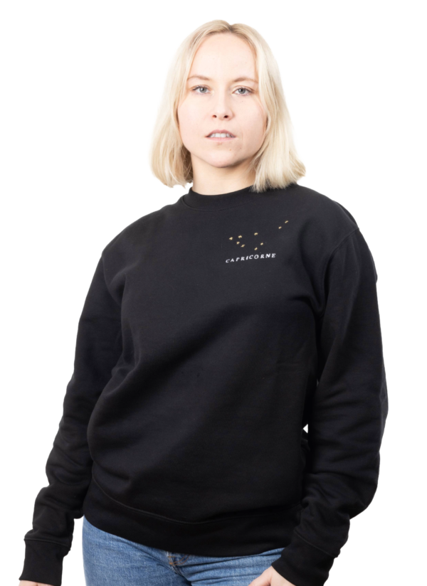 Pull brodé unisexe signe capricorne