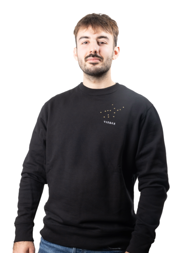 Pull brodé unisexe signe vierge