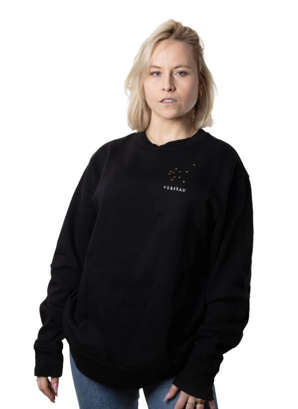 Pull brodé unisexe signe verseau