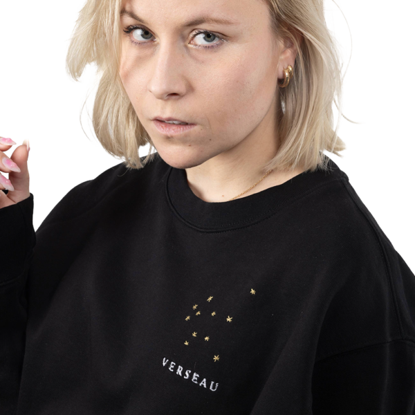 Pull brodé unisexe signe verseau