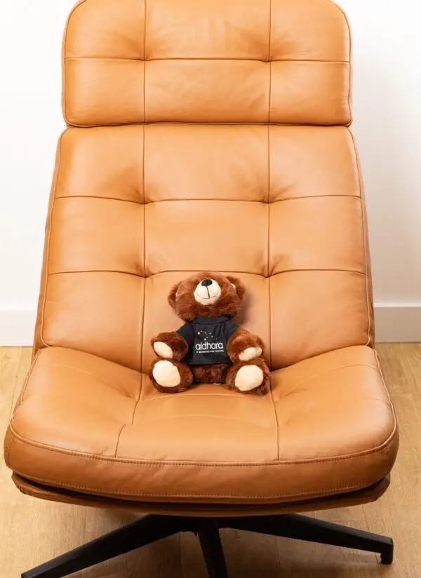 Peluche mascotte ourson avec t-shirt Aldhara